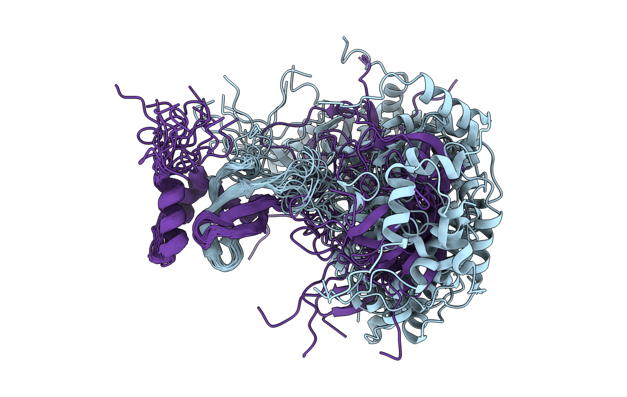 2NLU image