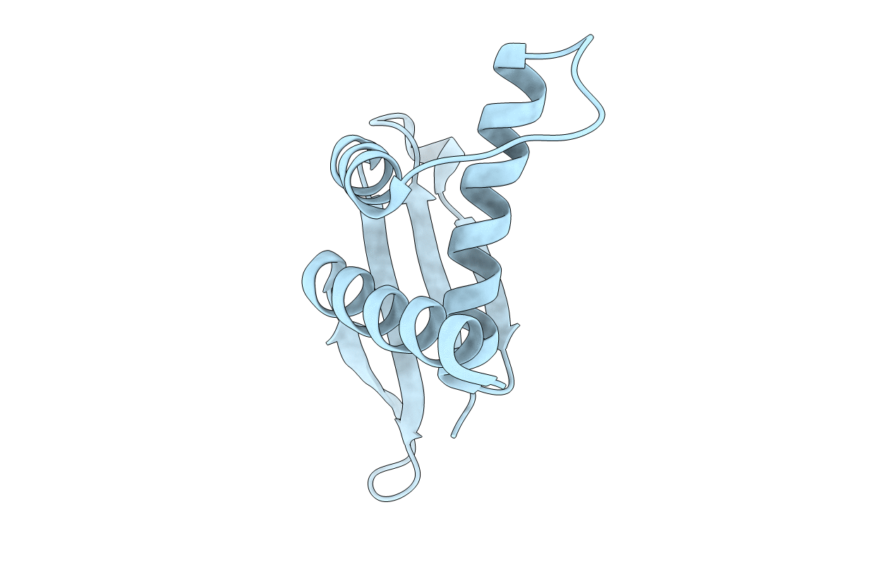 2NML image