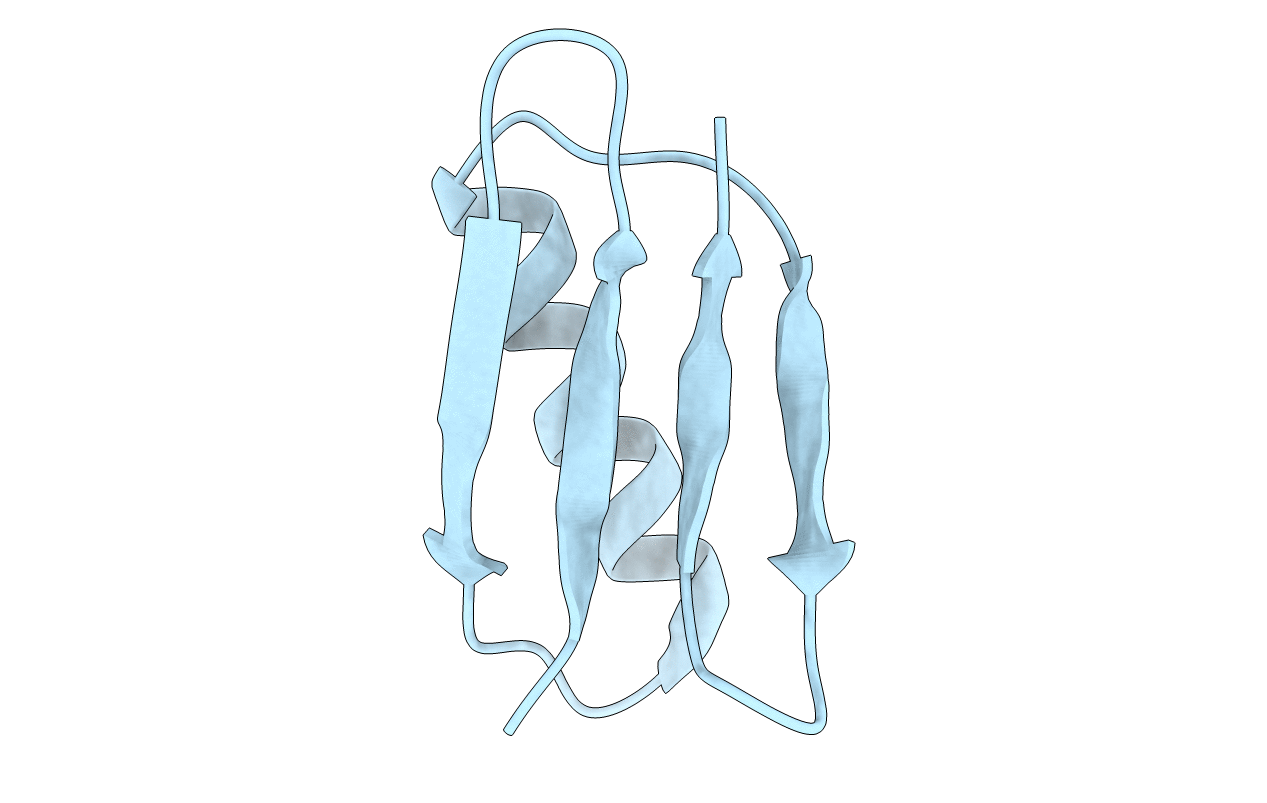 2NMQ image