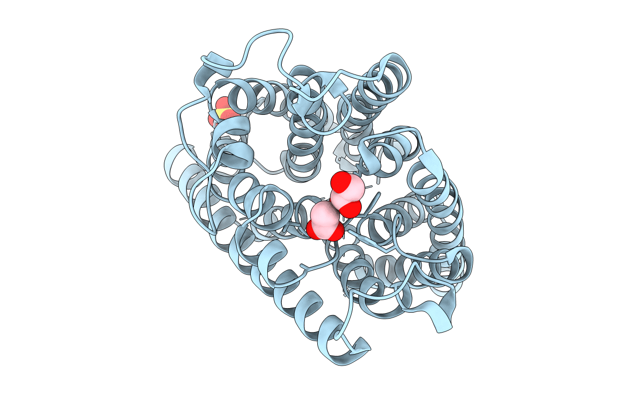 2NMR image