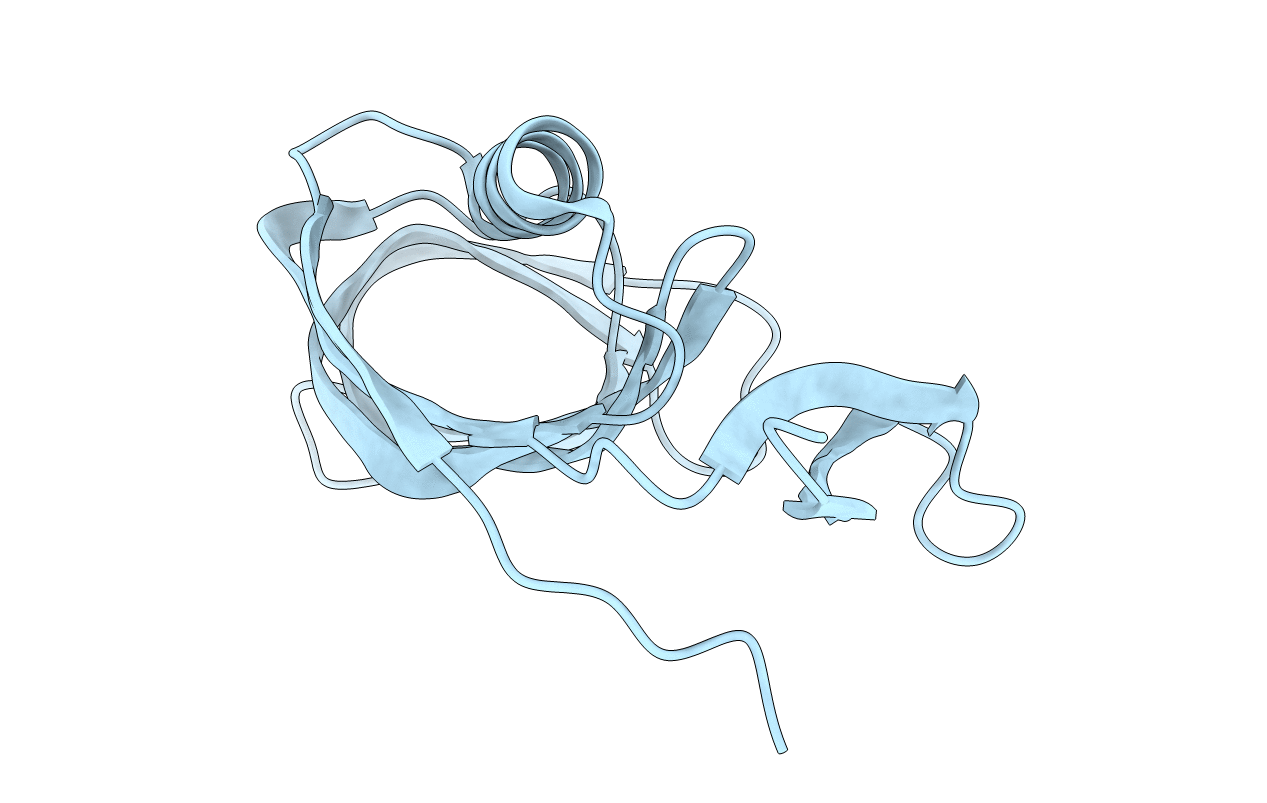 2NMU image