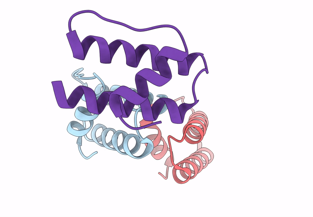 2NN4 image