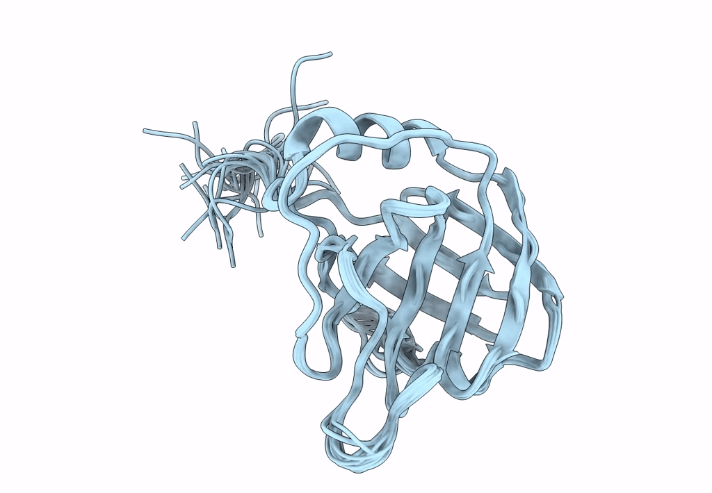 2NNZ image