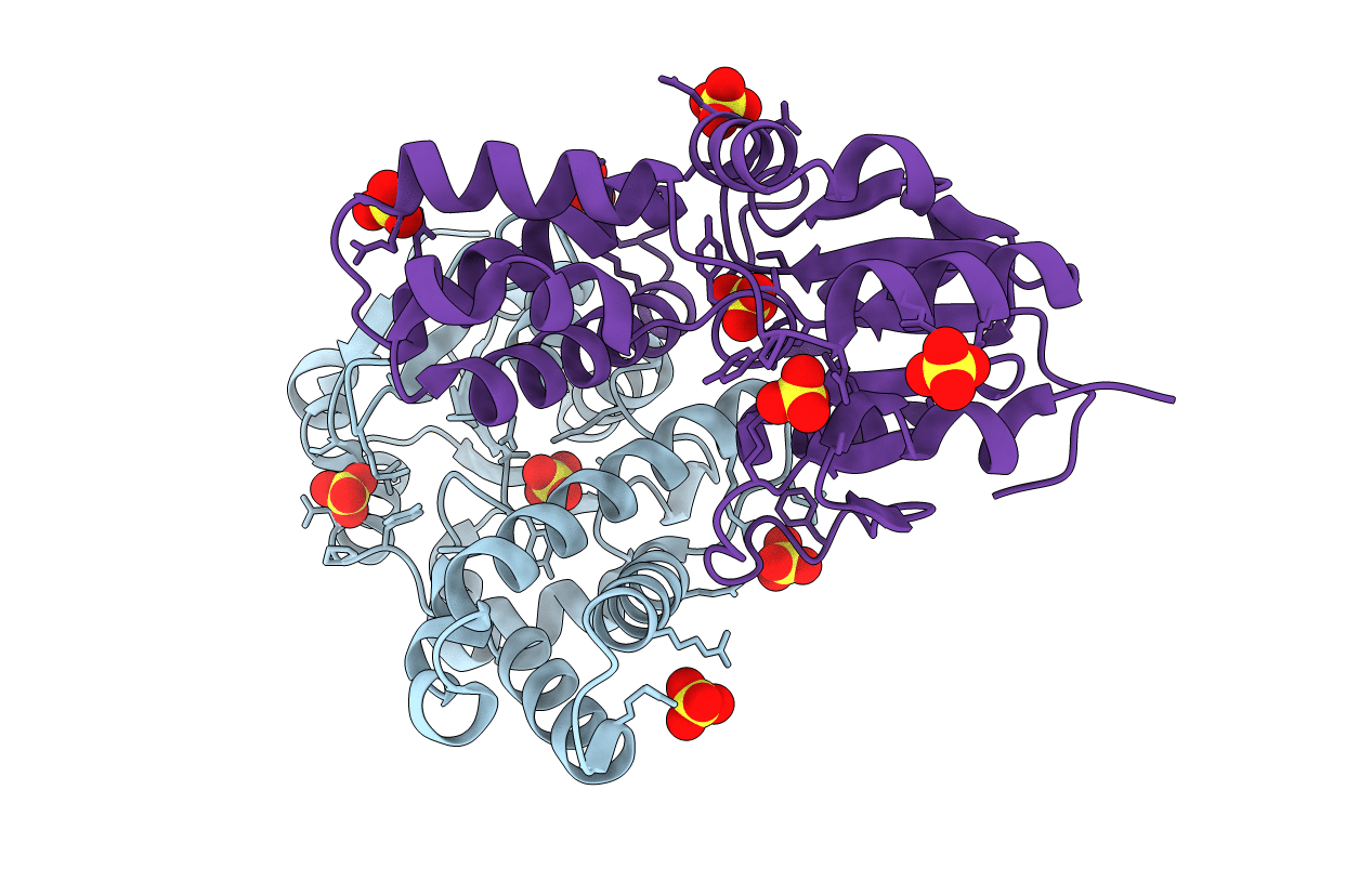 2NO4 image
