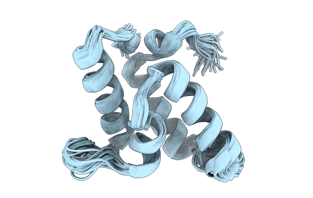2NO8 image