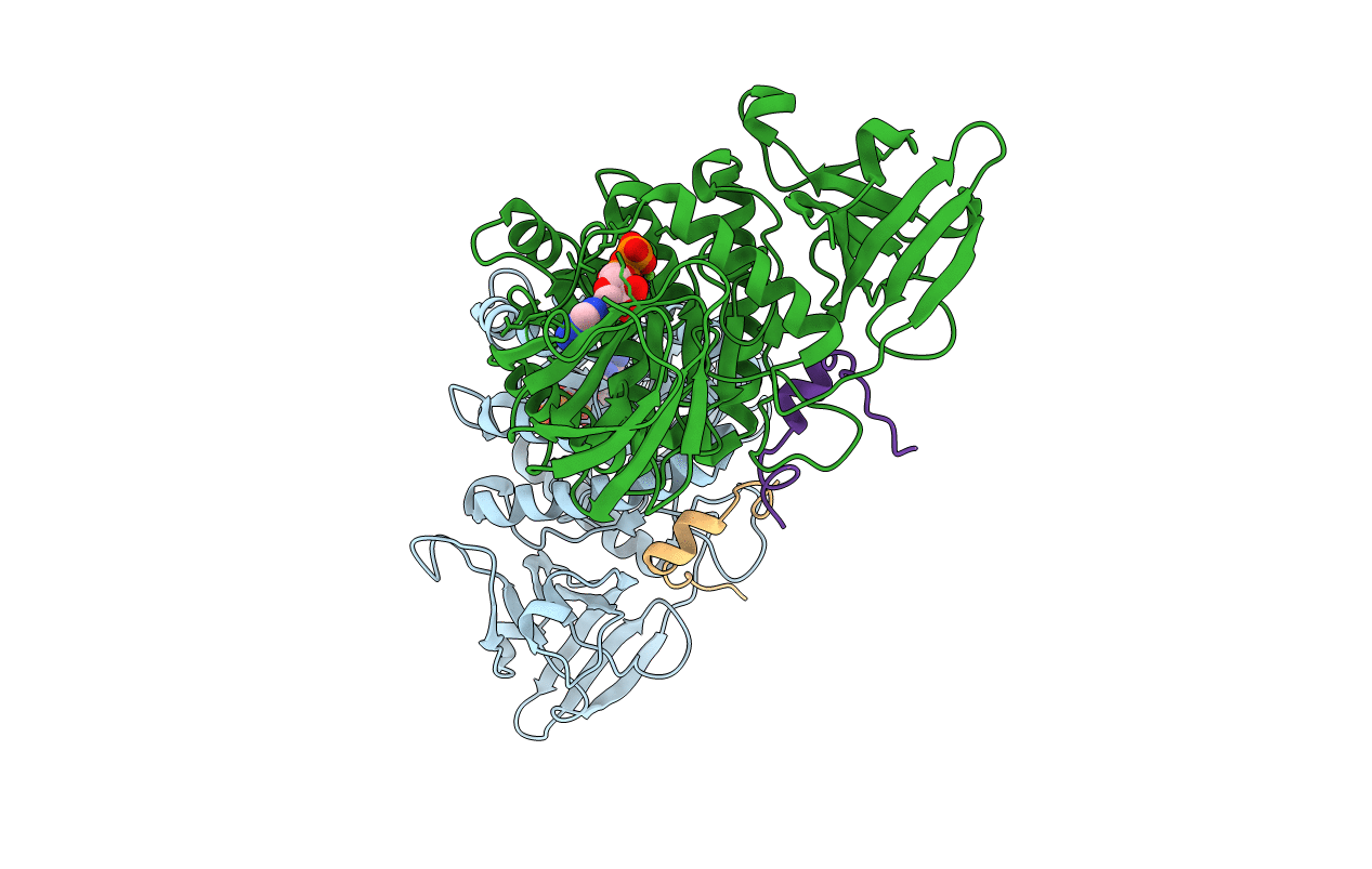 2NPI image