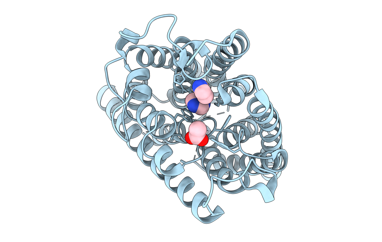 2NPJ image