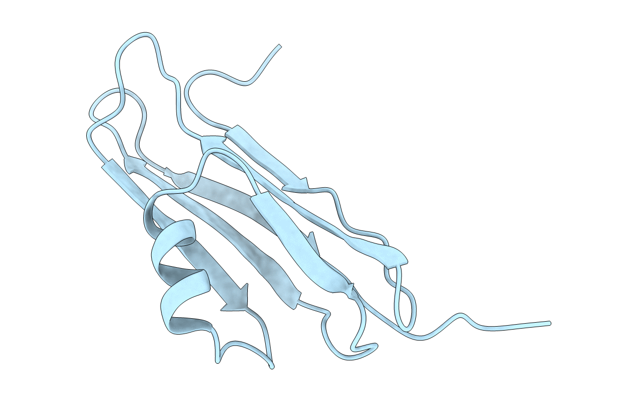 2NPL image
