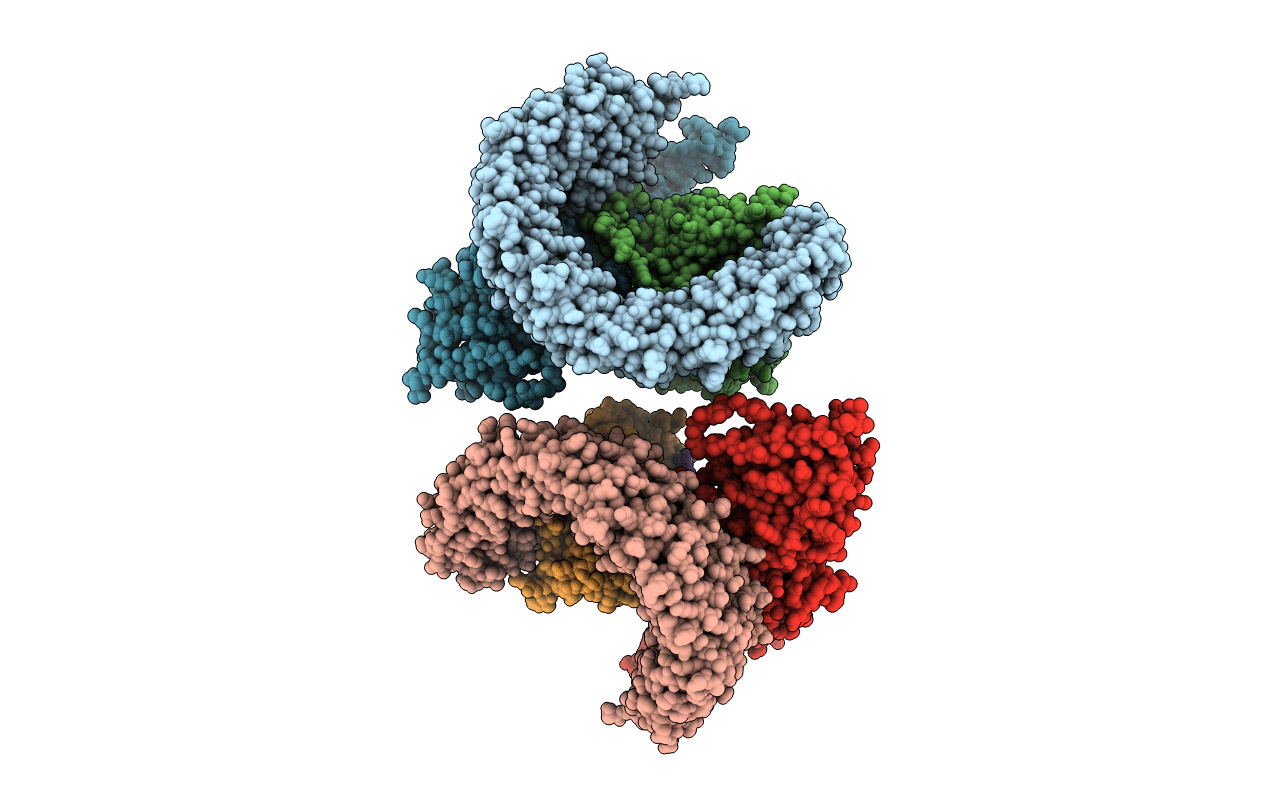 2NPP image