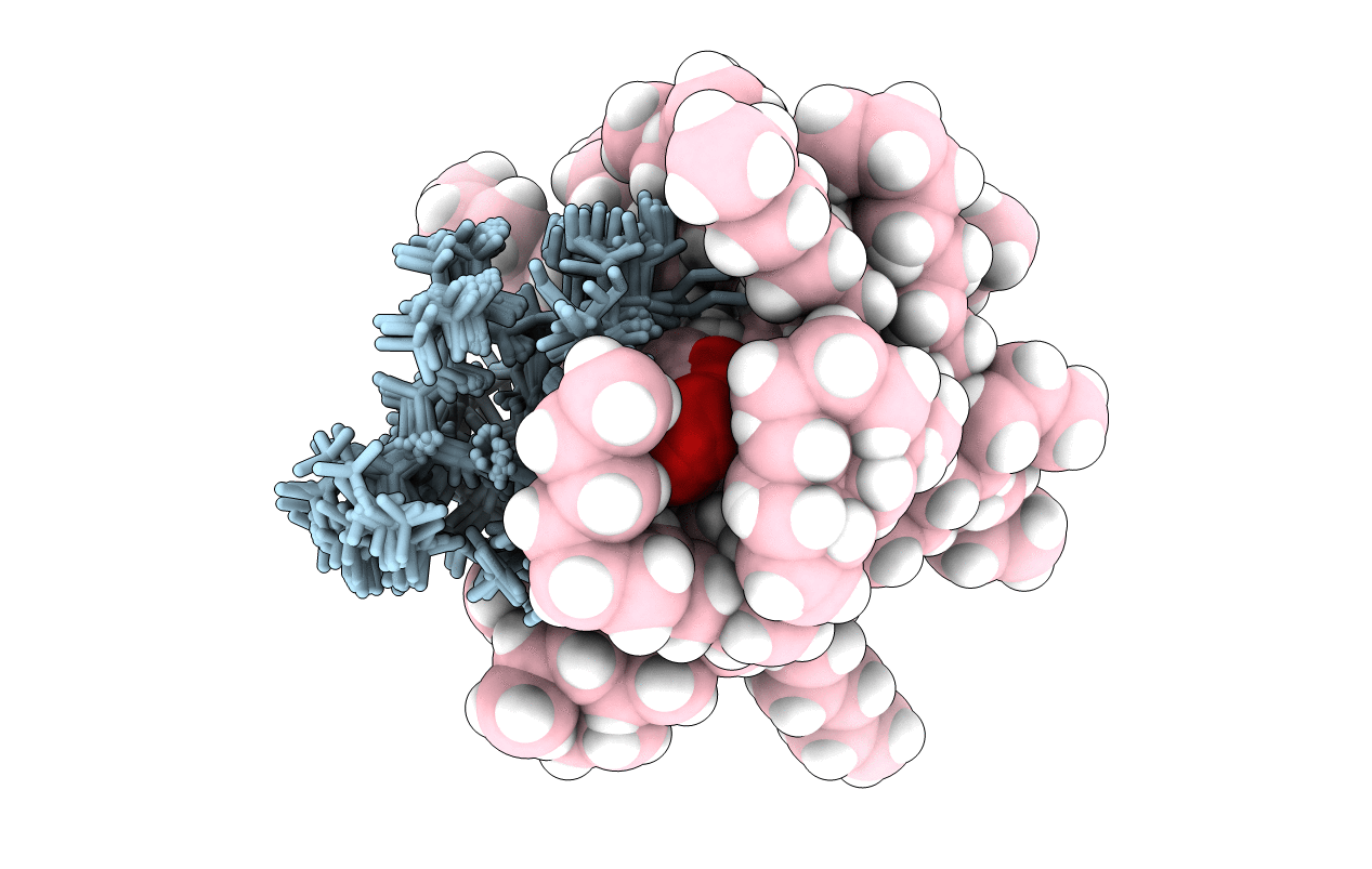 2NPV image