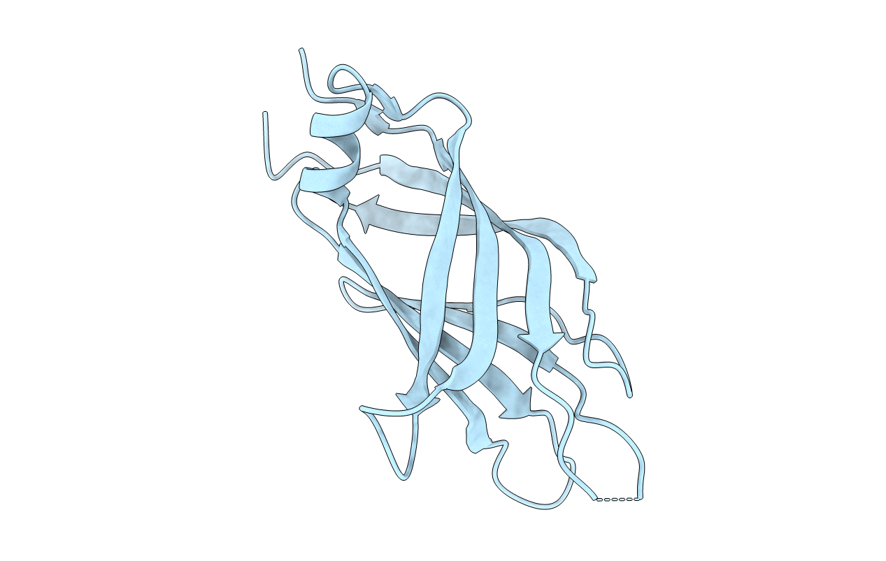 2NQ3 image