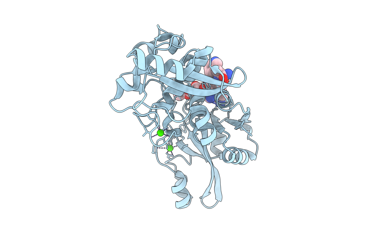 2NQG image