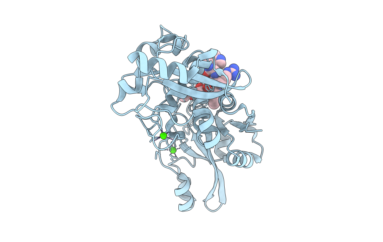 2NQI image