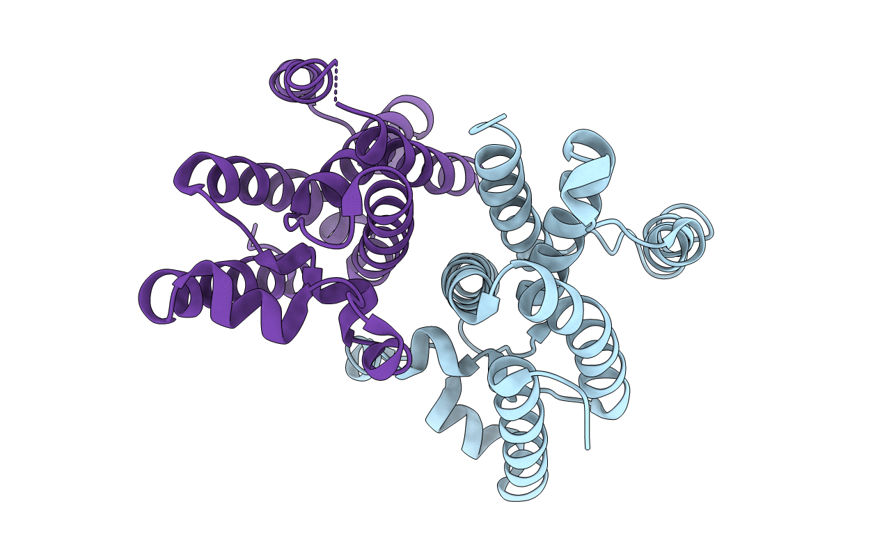 2NRF image