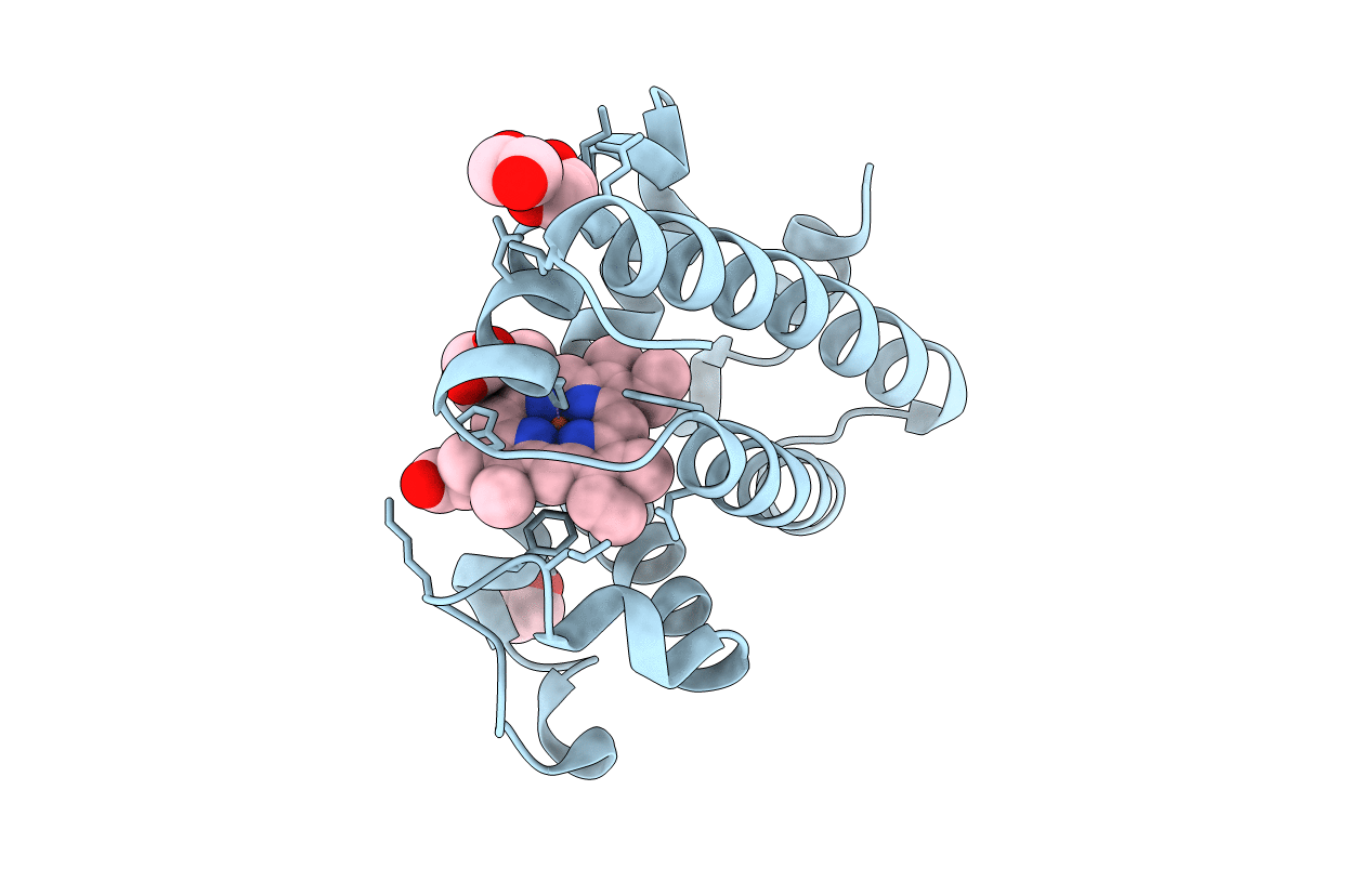 2NRL image