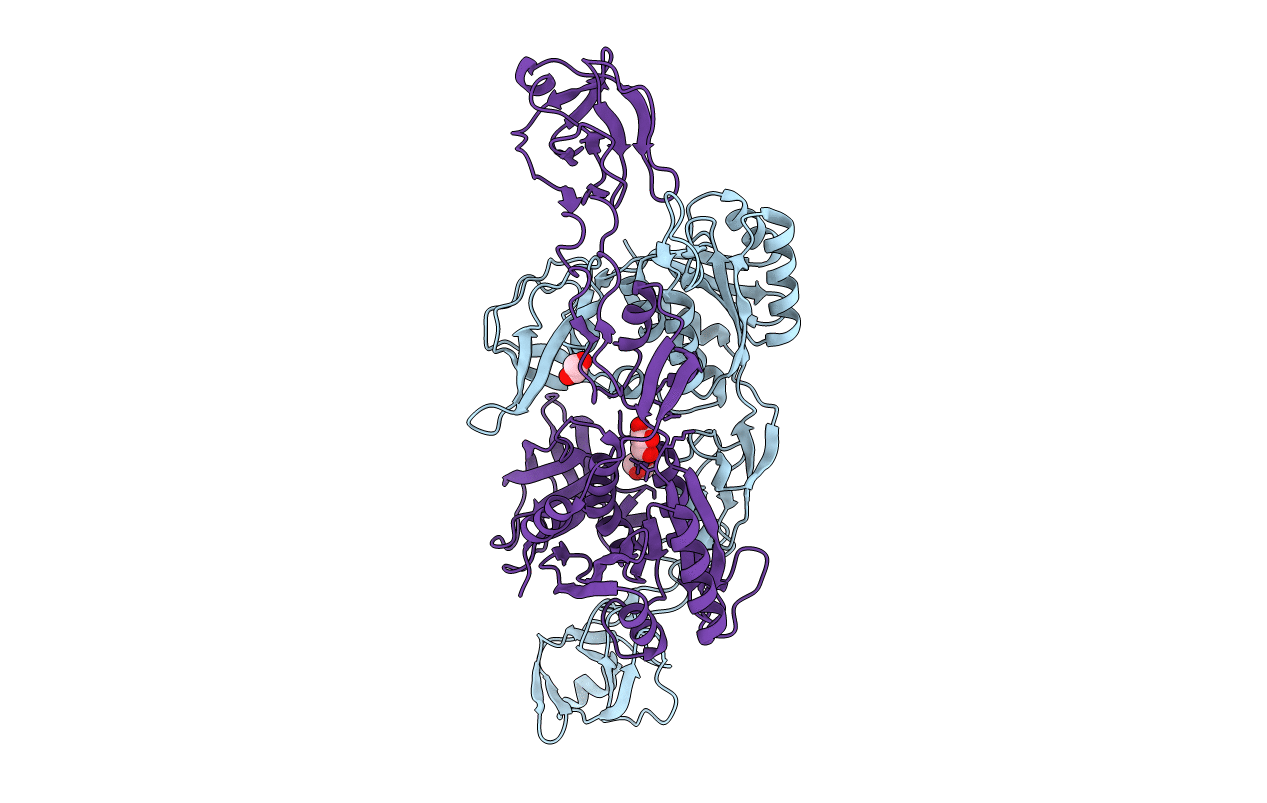 2NRP image
