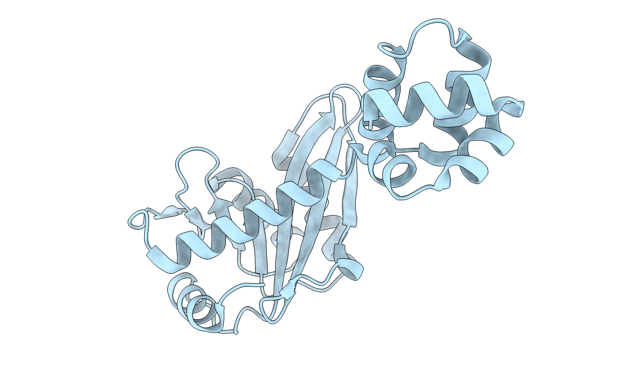 2NRT image