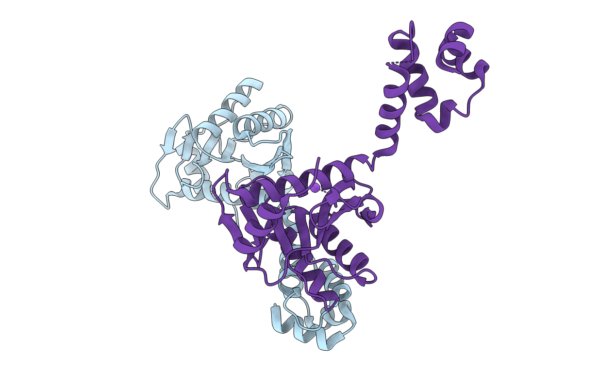 2NRV image