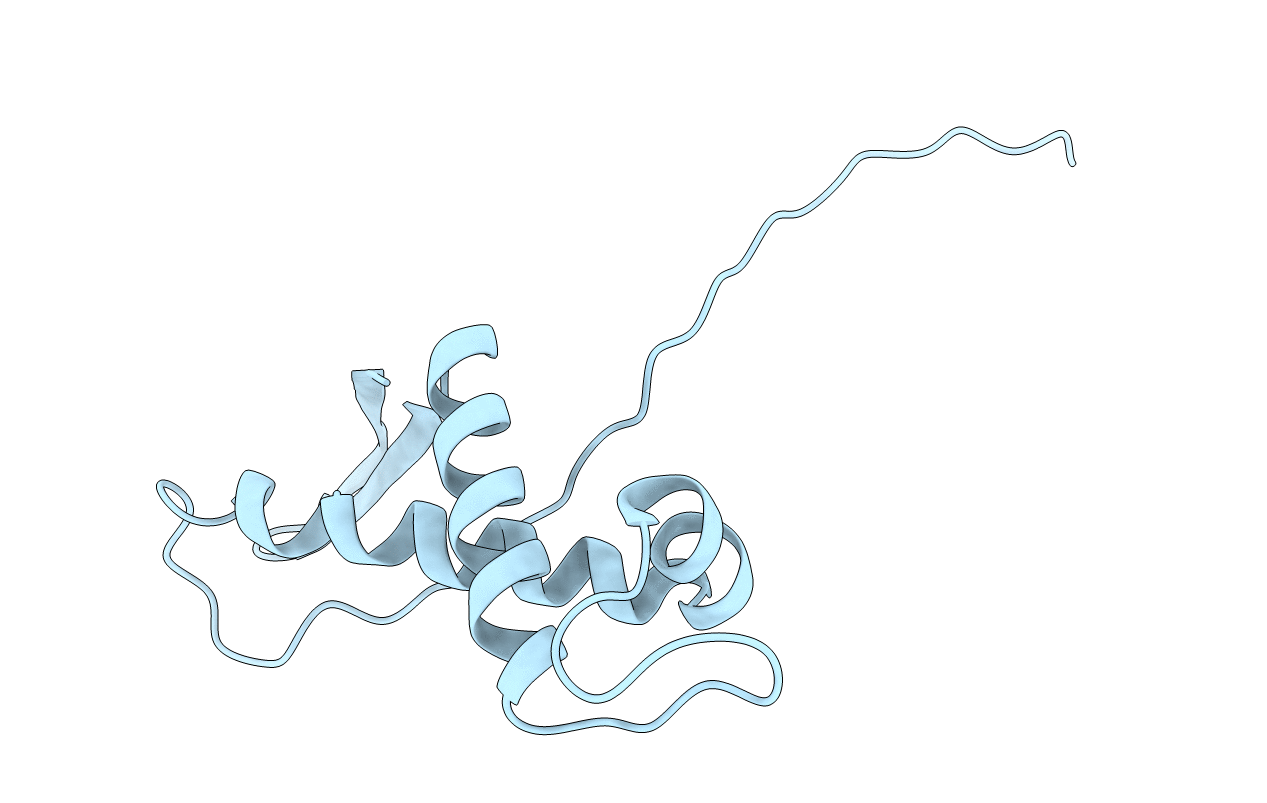 2NSB image