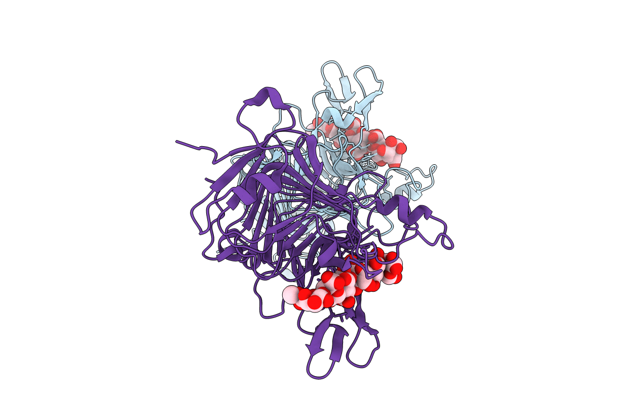 2NTP image