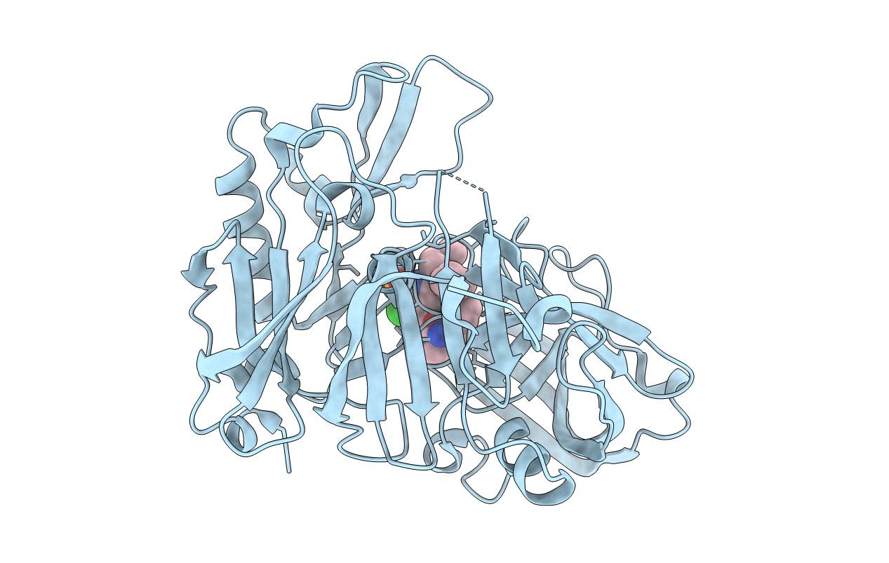 2NTR image