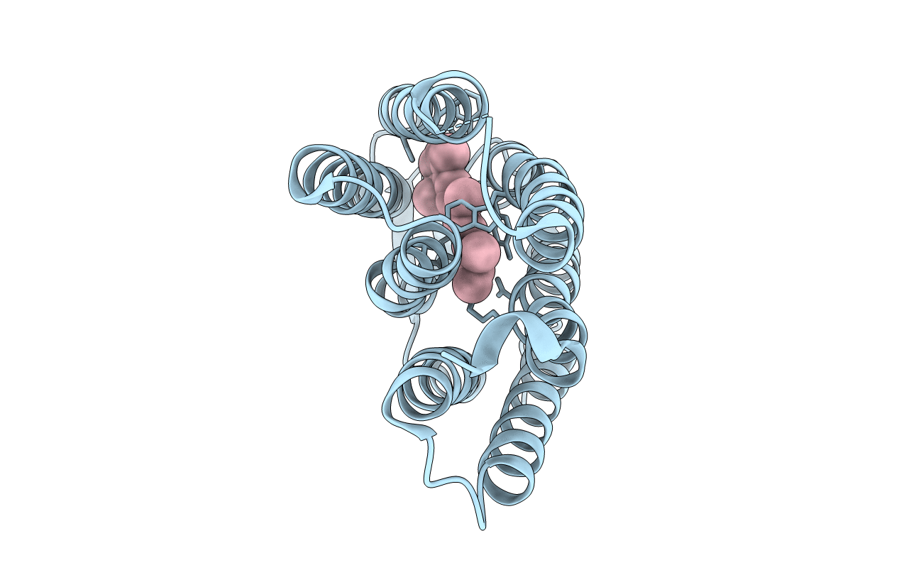 2NTU image
