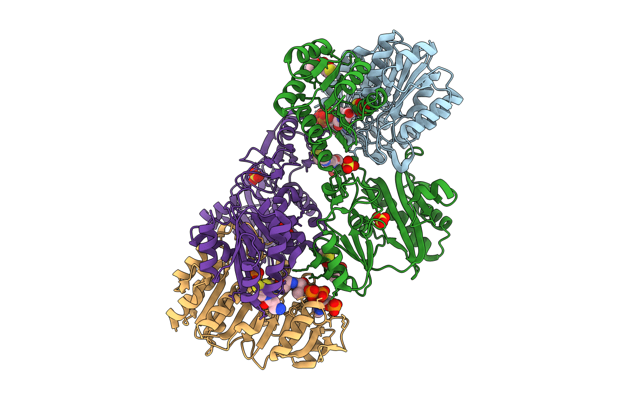2NU7 image