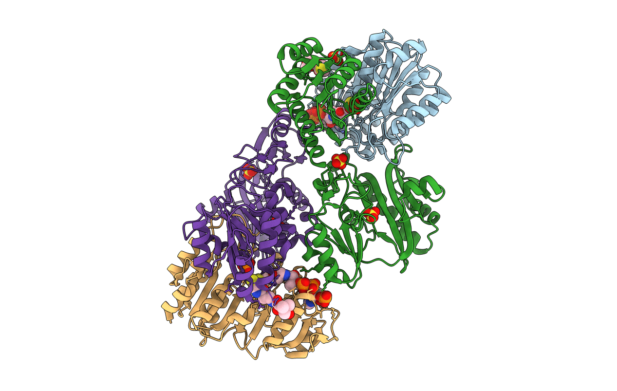 2NUA image