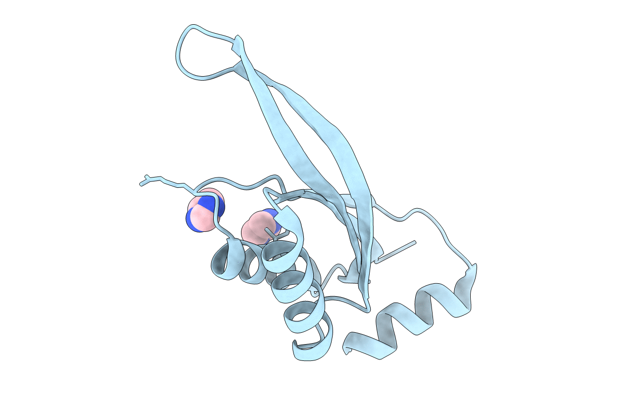2NUH image