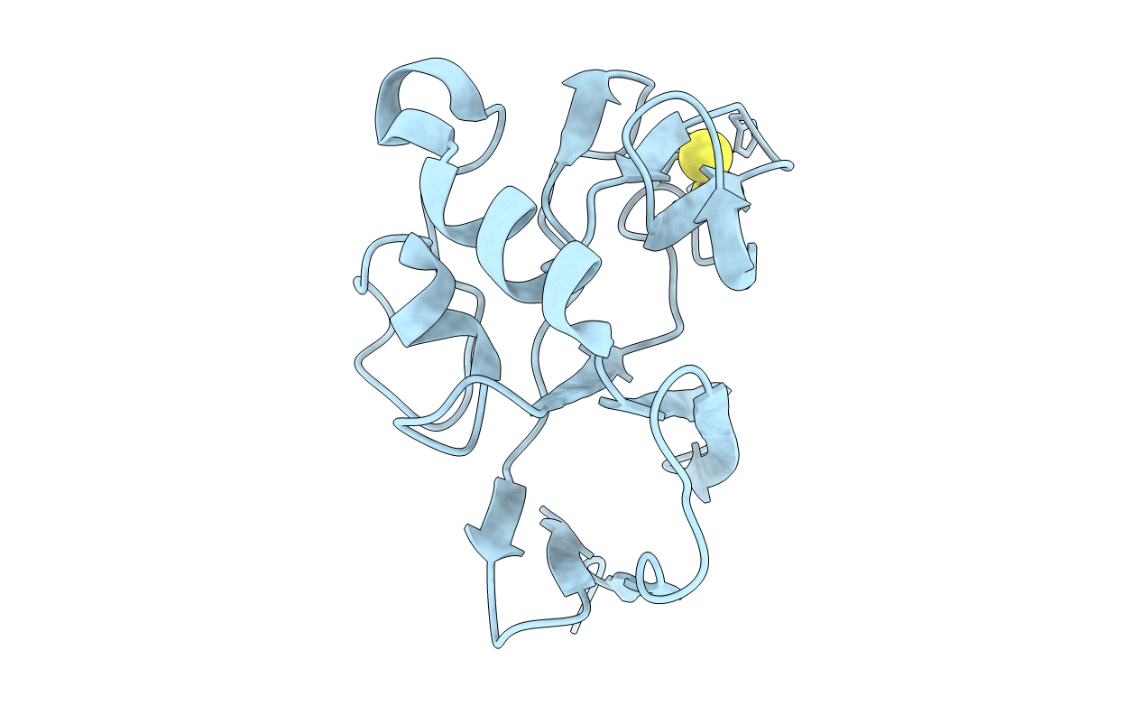 2NUM image