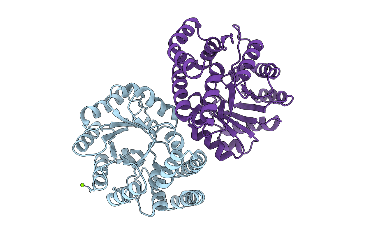 2NUX image