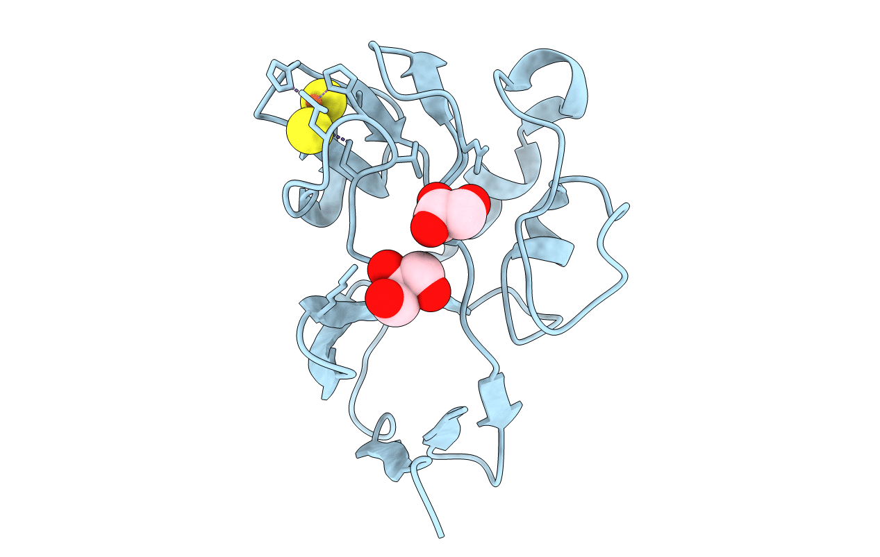 2NVF image