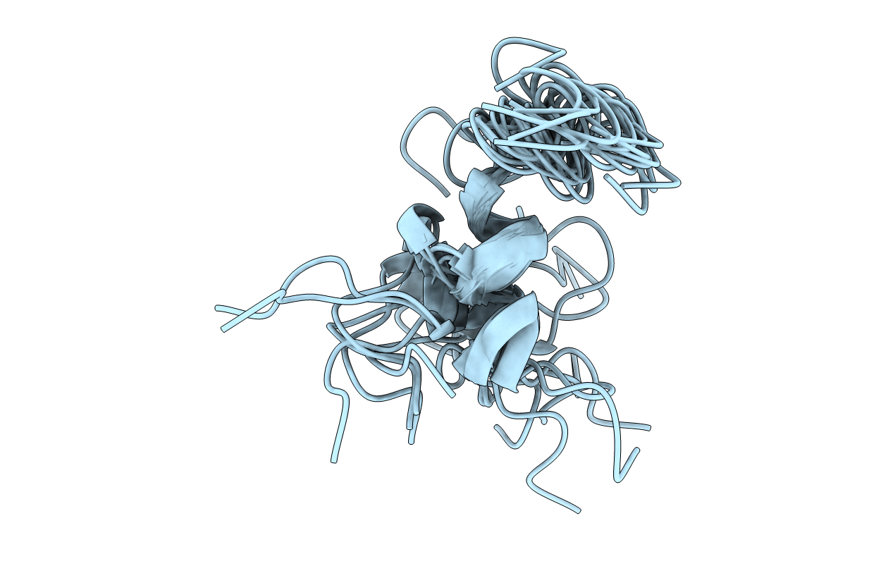 2NVJ image