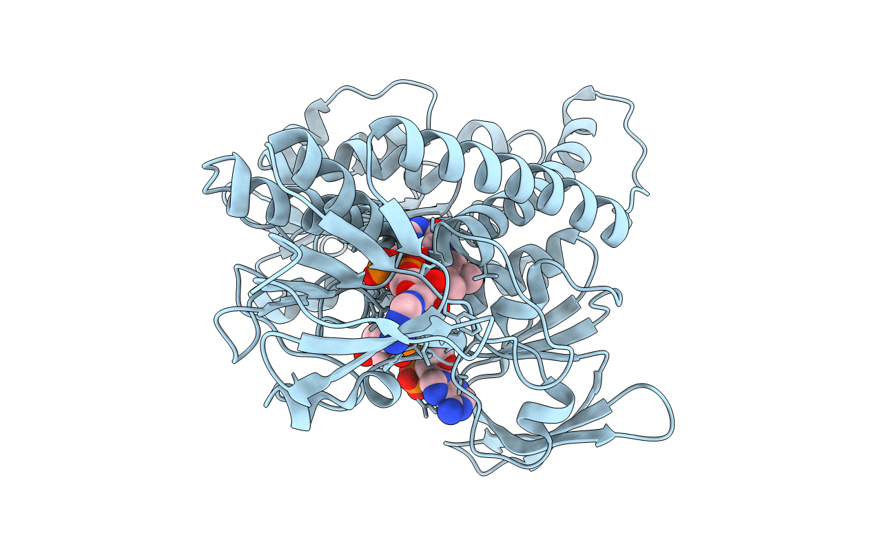 2NVK image