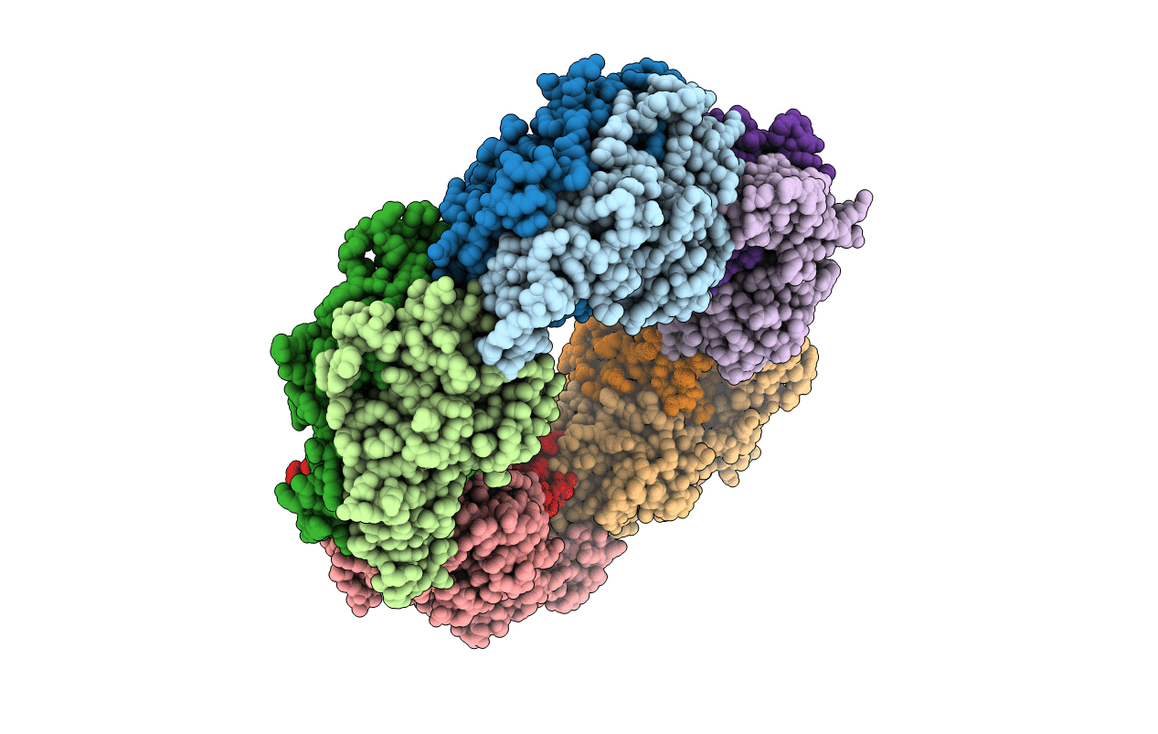 2NVL image