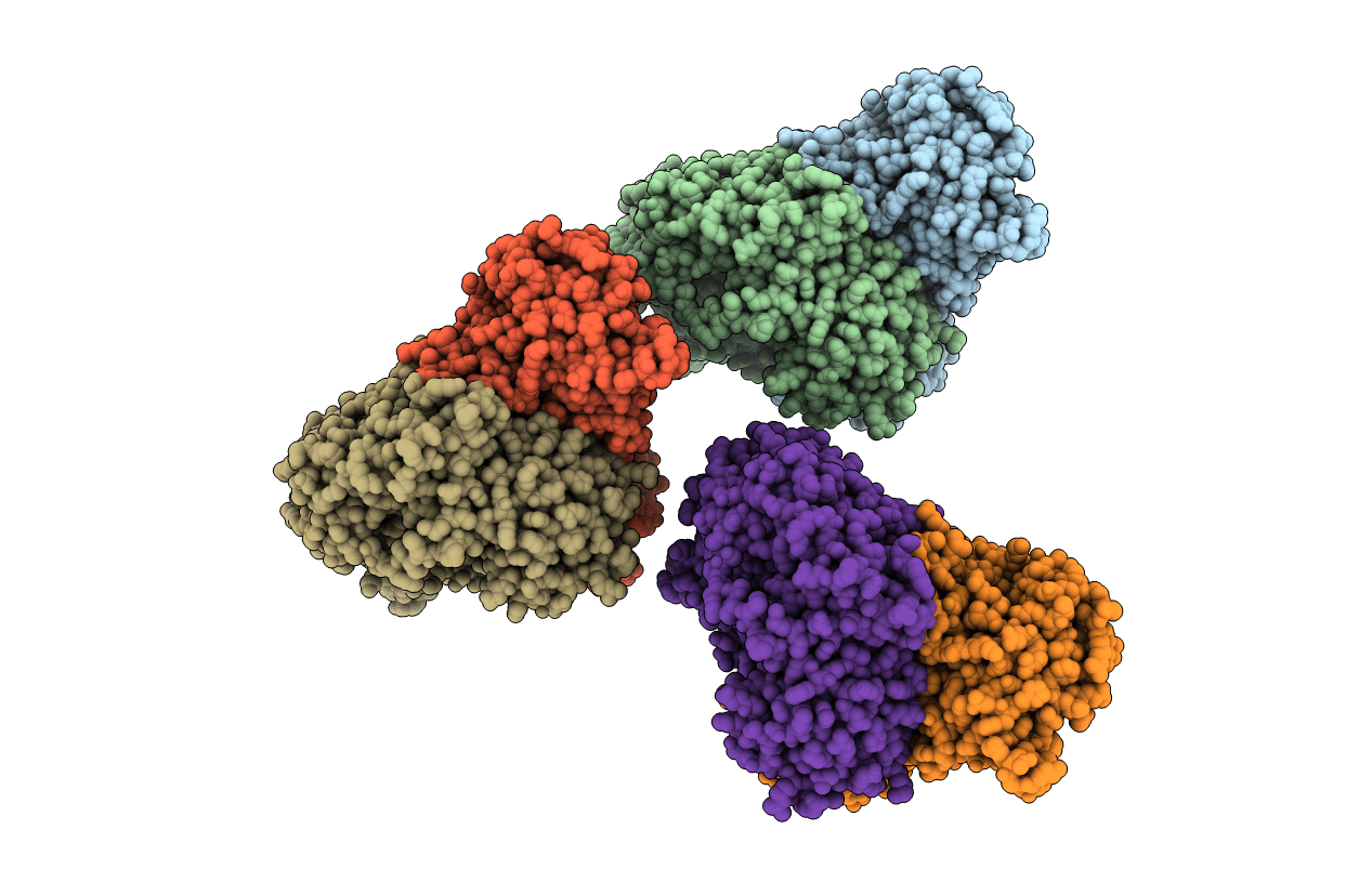 2NVV image