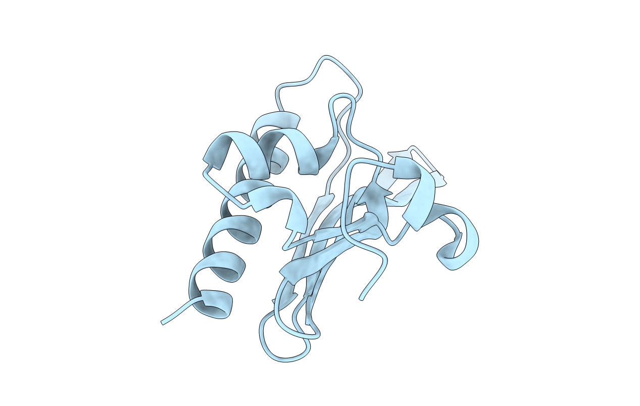 2NWV image