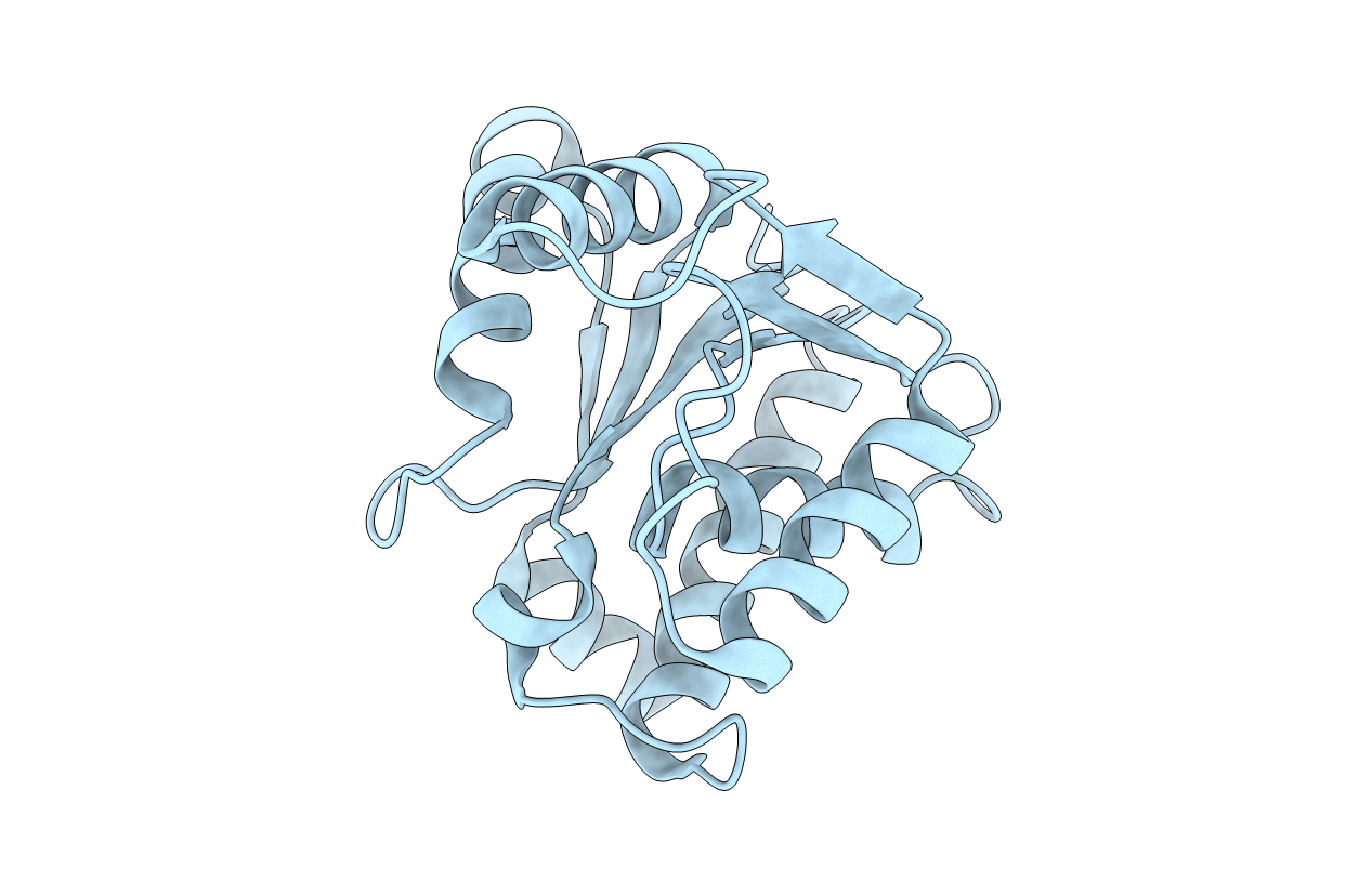2NX2 image