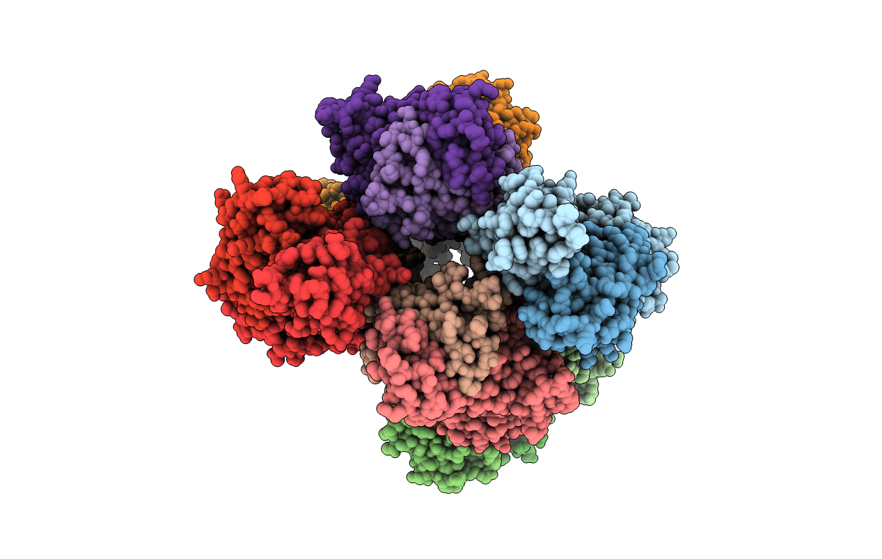 2NX5 image