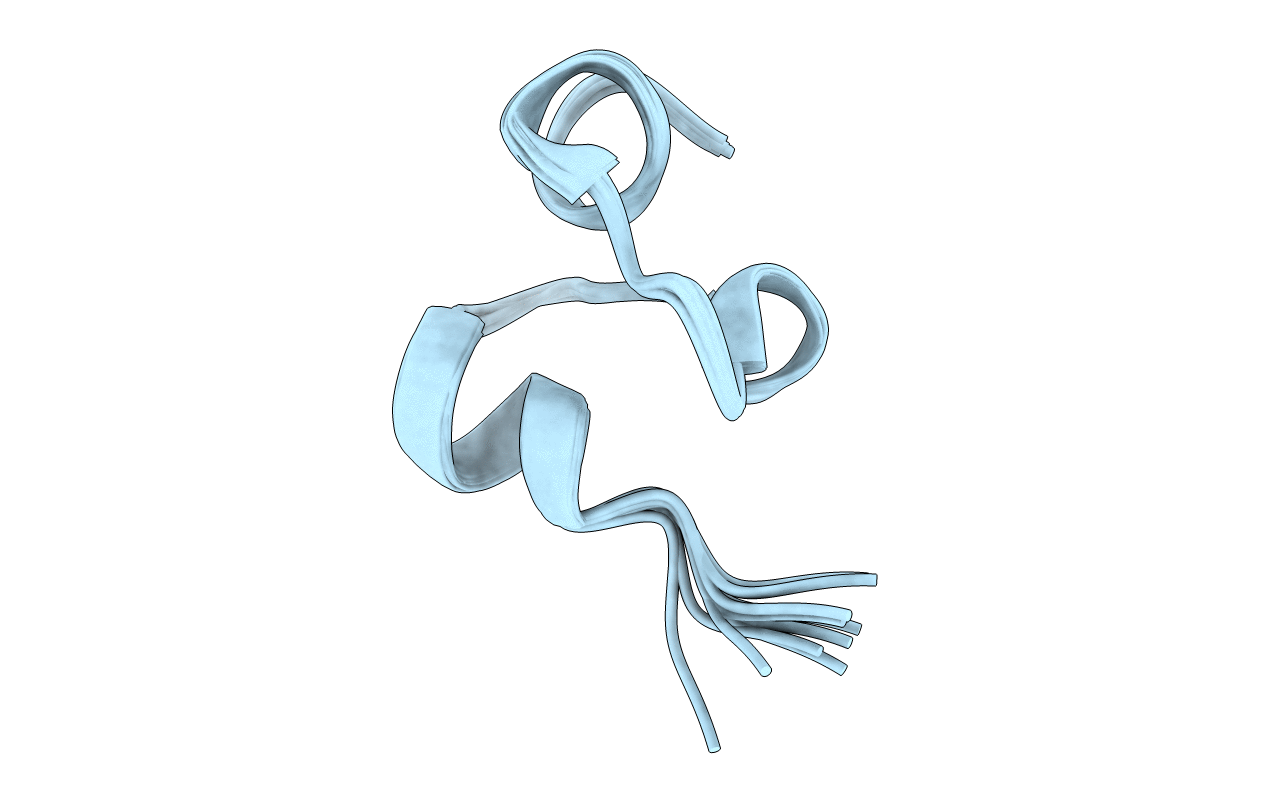 2NX7 image