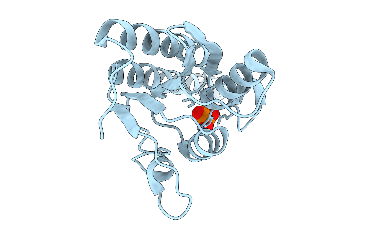 2NX8 image