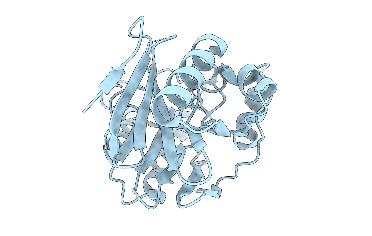 2NXA image