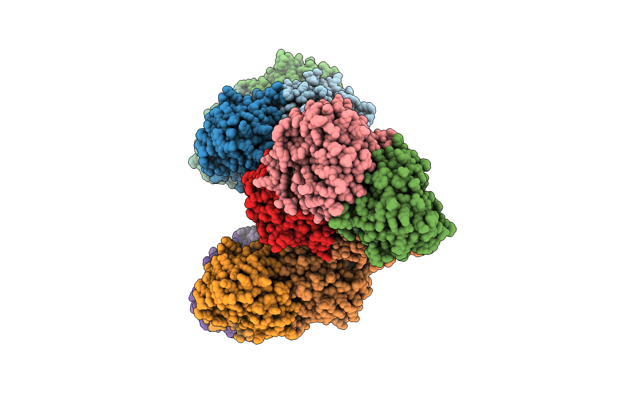 2NXH image