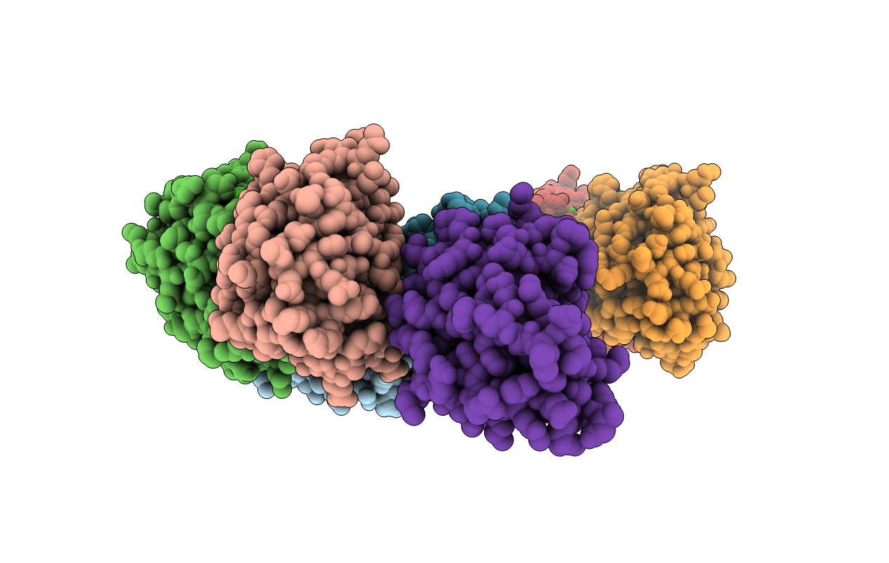 2NXP image
