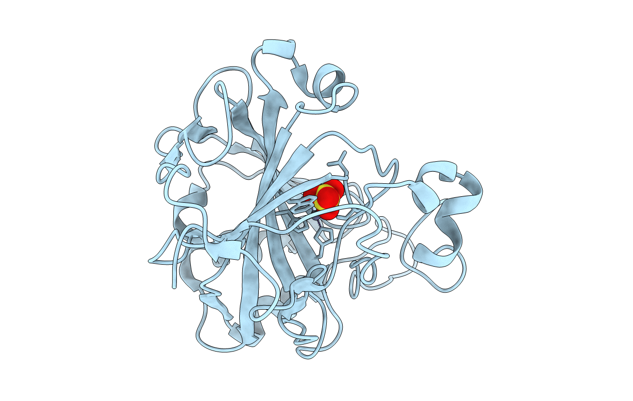 2NXR image