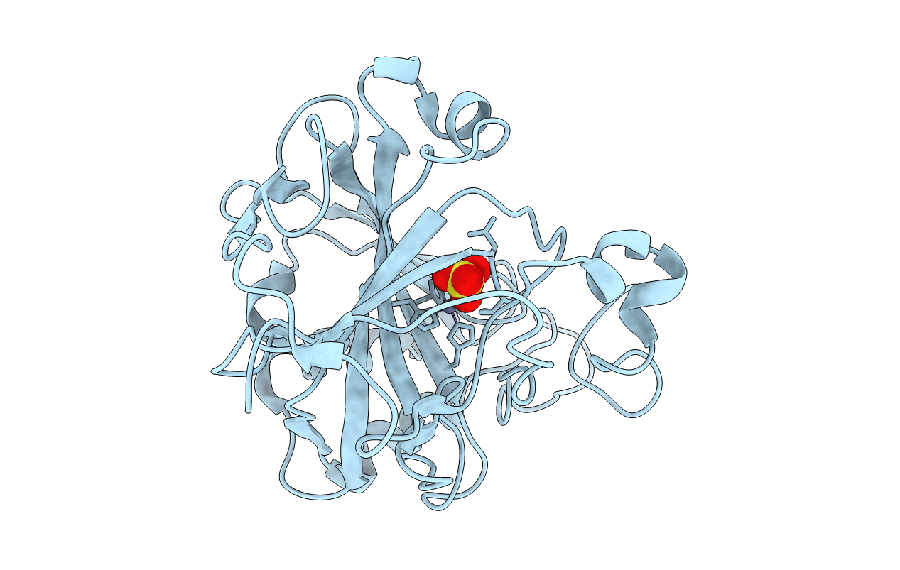 2NXS image
