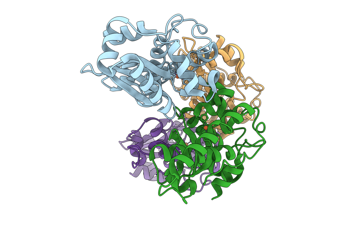 2NYB image