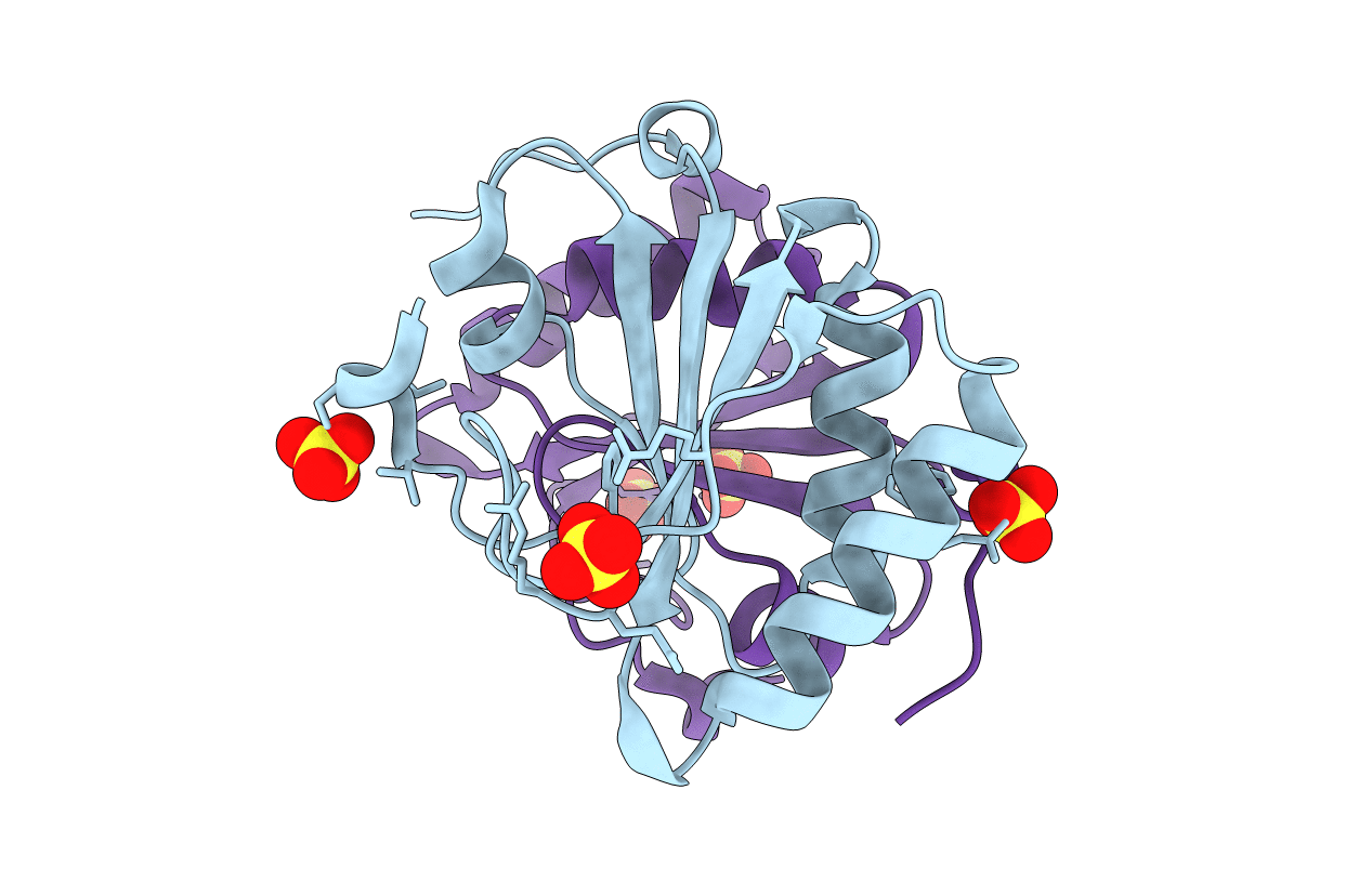 2NYH image