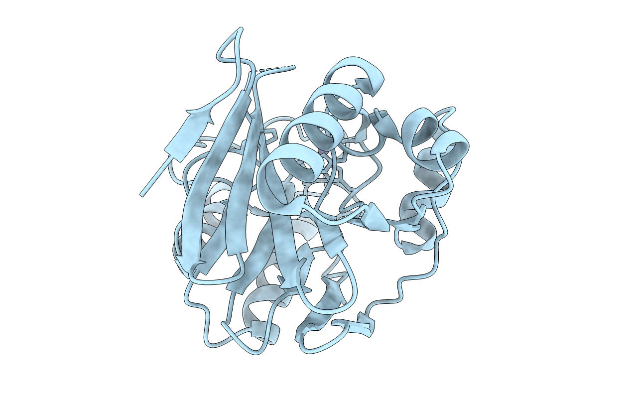 2NYP image