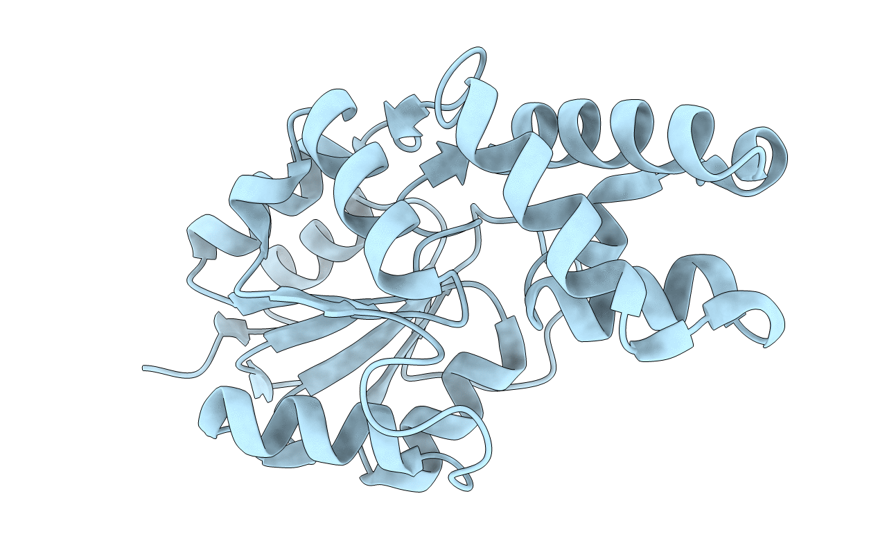 2NYV image
